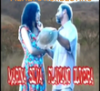O Nordestino
