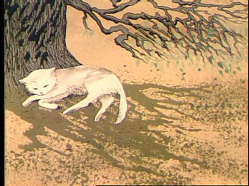 Foto 1 de A Árvore e a Gata