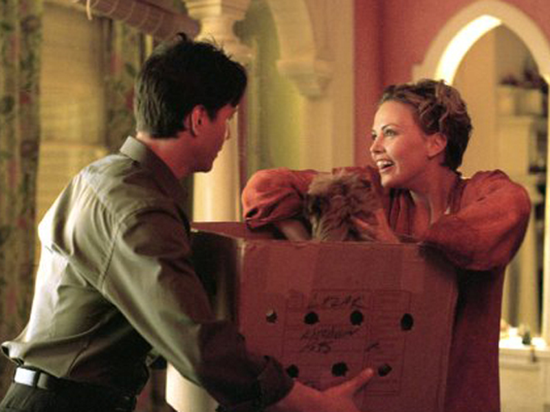 Foto 4 de Doce Novembro