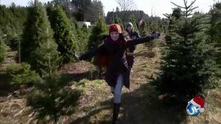 Trailer: The Tree That Saved Christmas