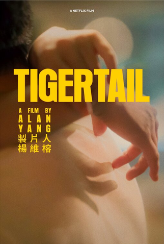 Poster 3 de Filme Tigertail (2020)