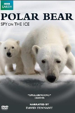 Urso Polar - Espiões na Neve (Polar Bears: Spy on the Ice)