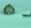 Spin
