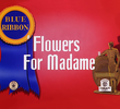 Concurso de Flores