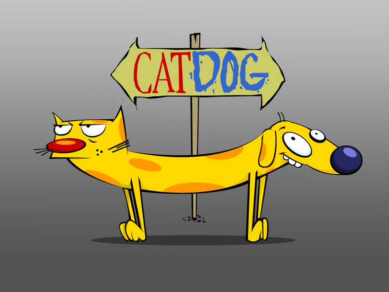 Foto 1 de Pic Nick Band