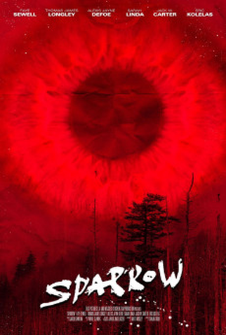 Poster 1 de Filme Sparrow (2010)