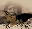 Os Nomes das Flores