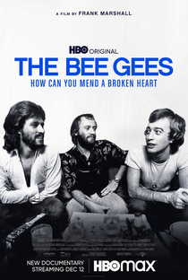 The Bee Gees: How Can You Mend a Broken Heart - Poster / Capa / Cartaz - Oficial 1