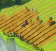 The Forgotten Treasure