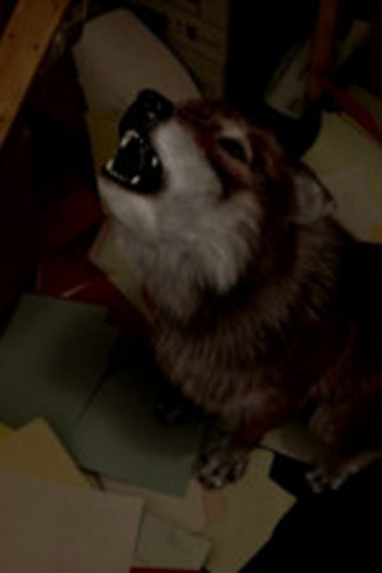 Poster de Episódio Top Dog (2013)