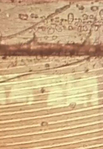 On the Spot (On the Spot)