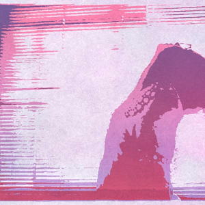 Foto de perfil de Adriana Yamamoto