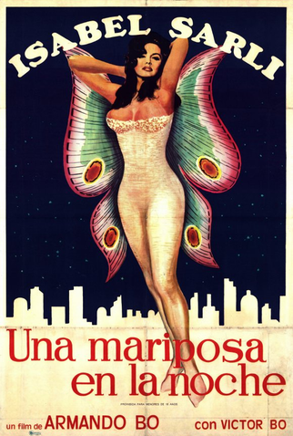 Poster 1 de Filme Uma Borboleta da Noite (1977)