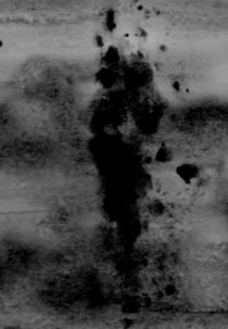 David Lynch: I Have a Radio (David Lynch: I Have a Radio)