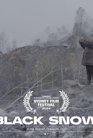 Poster 1 de Filme Black Snow (2024)