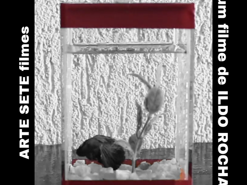 Foto 1 de Mente Morta