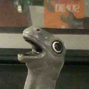 Foto de perfil de Daniela