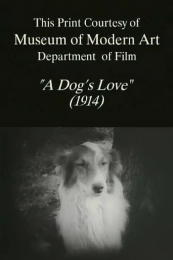 Poster de Curta A Dog’s Love (1914)