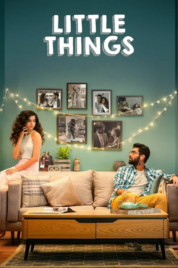 Poster de Franquia Little Things (2016)