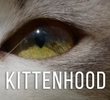 Kittenhood