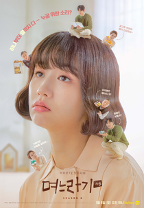 No, Thank You (2ª Temporada) (며느라기 시즌2)