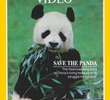 Salve o Ursinho Panda