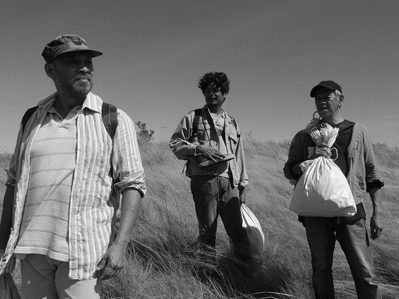 Foto 1 de Gênero, Pan