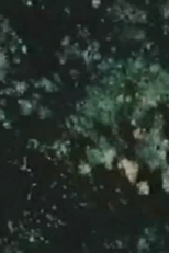 Song 14: Molds, Paints and Crystals (Song 14: Molds, Paints and Crystals)