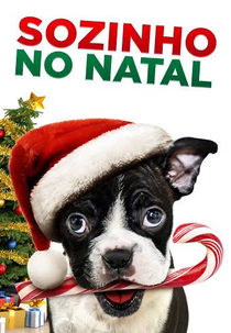 Sozinho No Natal (Bone Alone)