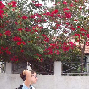 Foto de perfil de Juliane Ribeiro