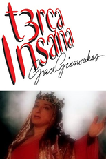 Santa Paciência - Terça Insana (Santa Paciência - Terça Insana)