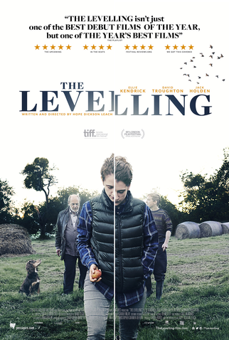 Poster 2 de Filme The Levelling (2016)