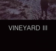 Vineyard III