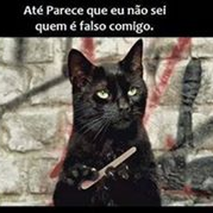 Foto de perfil de Alexandre