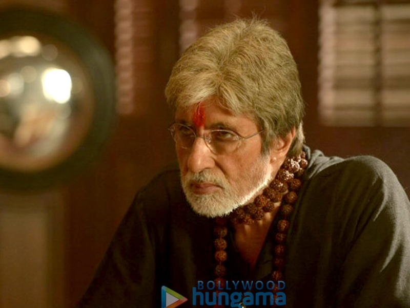 Foto 2 de Sarkar 3