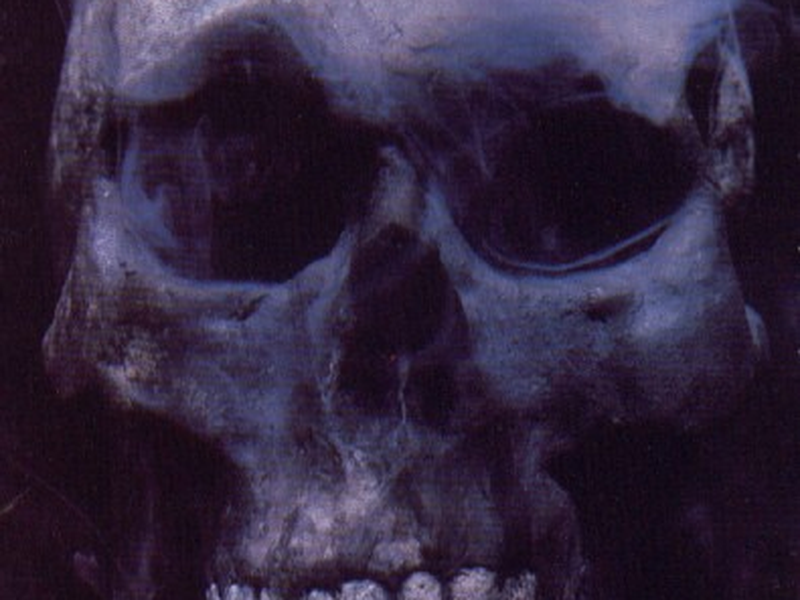 Foto 1 de Fantasmas Que Ainda Vagam