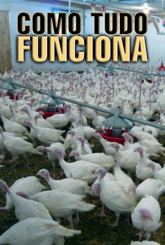 Poster 2 de Série Como Tudo Funciona (2008)