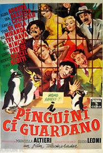 I Pinguini ci Guardano  - Poster / Capa / Cartaz - Oficial 1