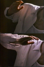 The Hedge Theater (The Hedge Theater)