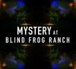 O Mistério da Fazenda Blind Frog (1ª Temporada)