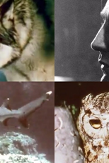 Say Goodbye (Say Goodbye)