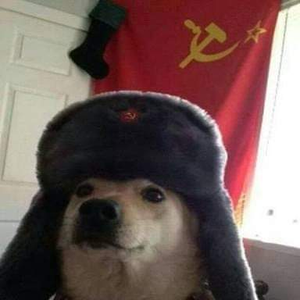 Foto de perfil de marcelle