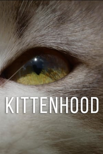 Kittenhood - Poster / Capa / Cartaz - Oficial 1
