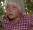 Avsnitt 6