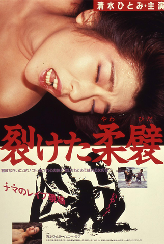 Poster 1 de Filme Saketa yawahida (1987)
