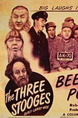 Veja que cerveja! (Beer barrel polecats)