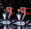 The Blind Auditions, Part 6
