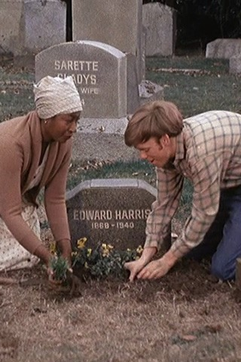 Poster de Episódio The Family Tree (1978)