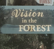 Vision in the Forest