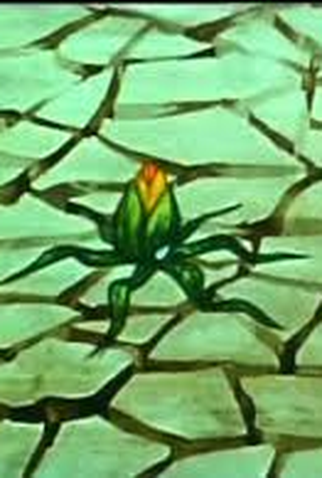 Poster 1 de Curta Kwiat (1973)